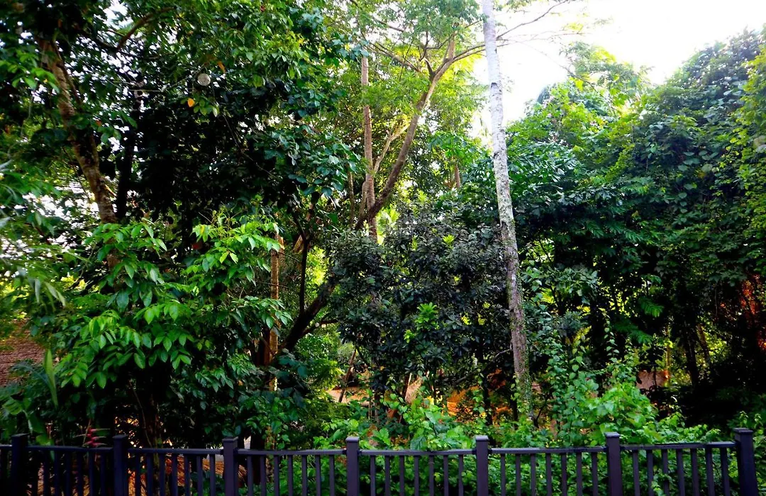 Lihim Resorts-1